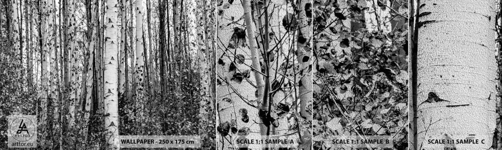 Échantillon de Papier Peint Premium Sand - Enchevêtrement de bouleau - Forêt, Bouleau, Nature - 100x30 cm