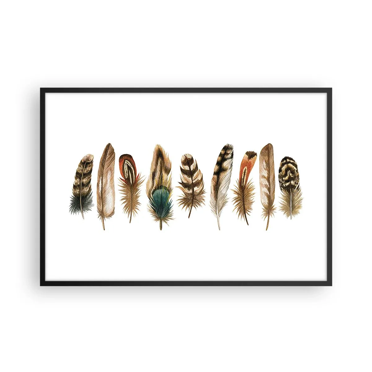 Affiche dans un cadre noir - Poster - Variation à plumes - 91x61 cm