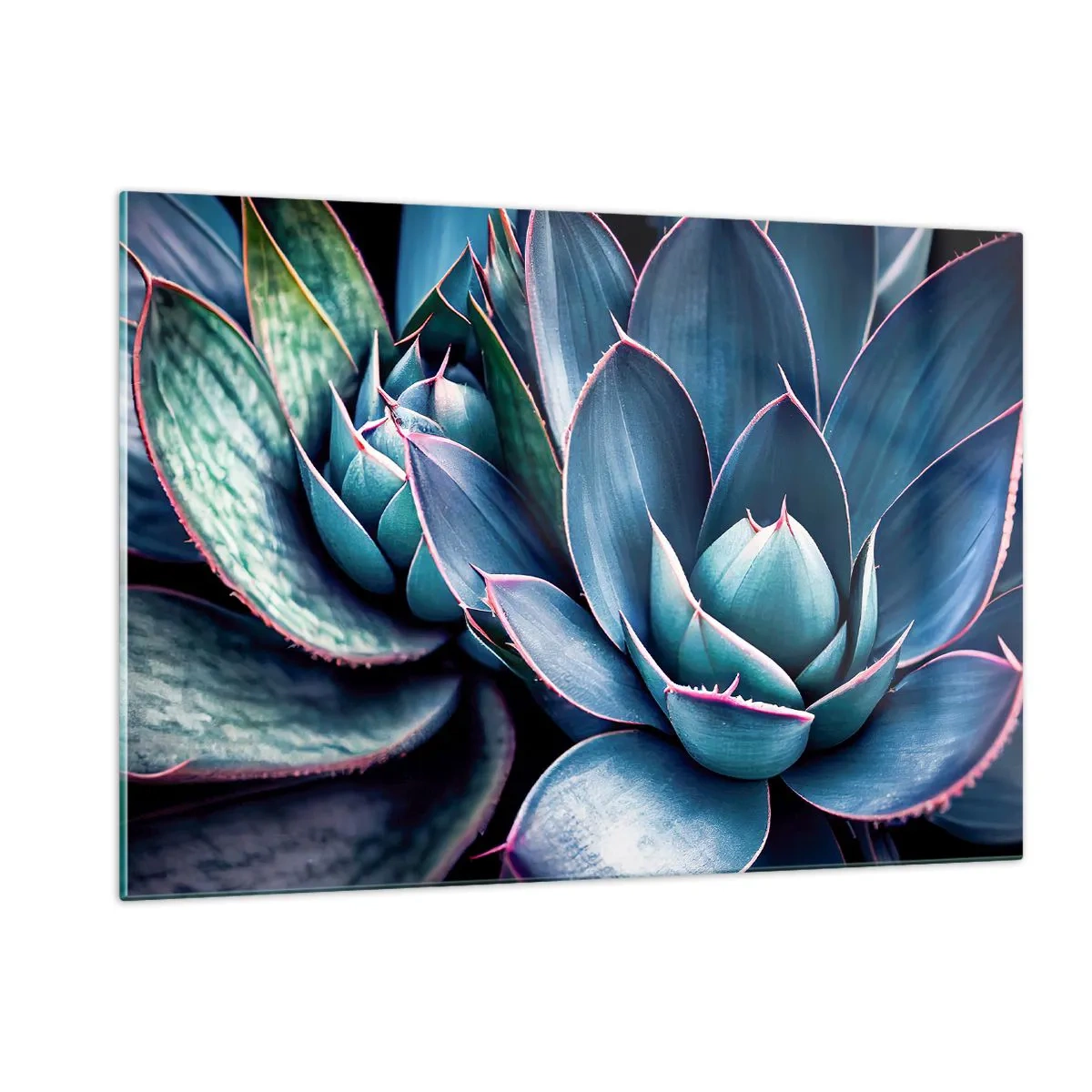 Impression sur verre - Image sur verre - Gros plan sur les feuilles vertes luxuriantes des plantes succulentes - 120x80cm - Force vital - Décoration murale moderne pour le salon et la chambre ARTTOR