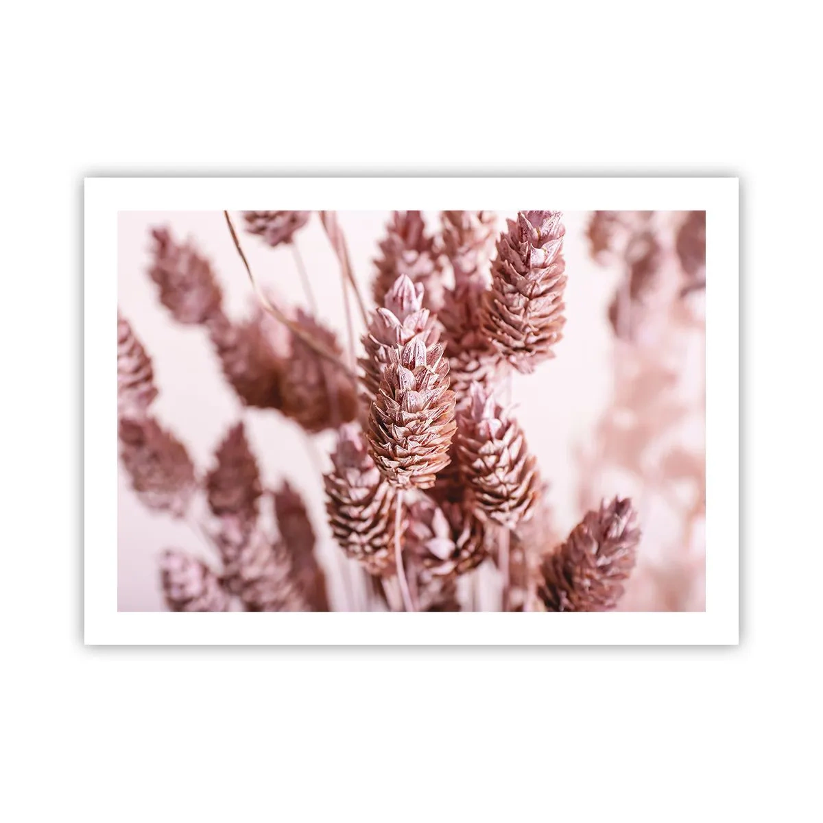 Affiche - Poster - Apparemment discret - 70x50 cm