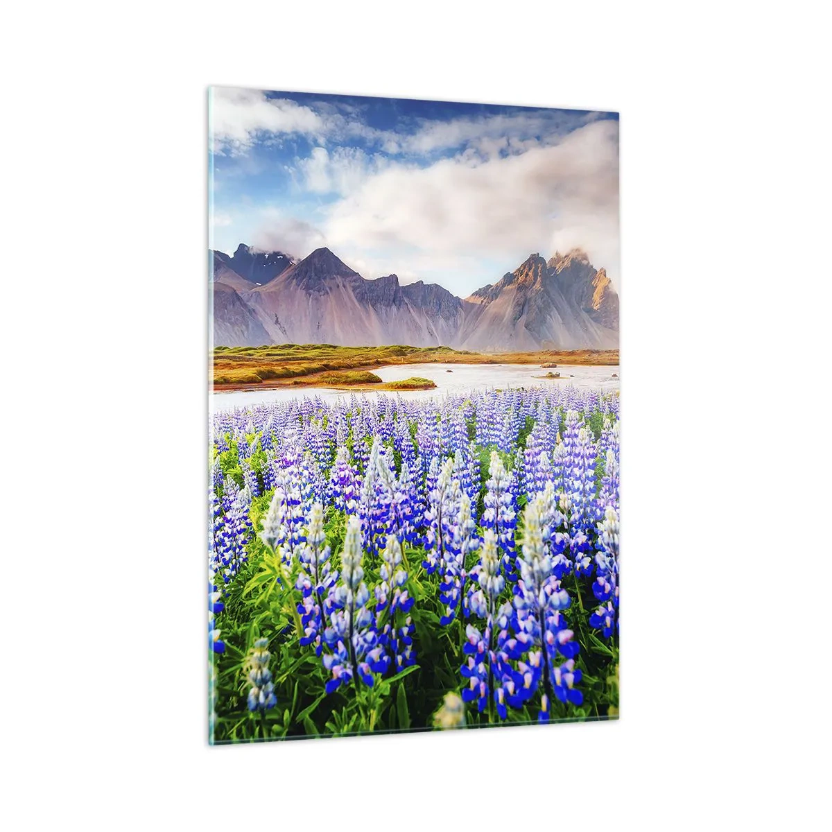Impression sur verre - Image sur verre - Un paysage de montagne avec une prairie fleurie et des sommets majestueux - 50x70cm - La force et l'austérité côtoient la douceur - Décoration murale moderne pour le salon et la chambre ARTTOR