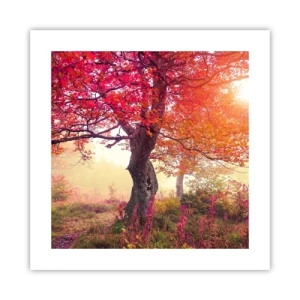 Affiche - Poster - Frénésie de floraison - 40x40 cm