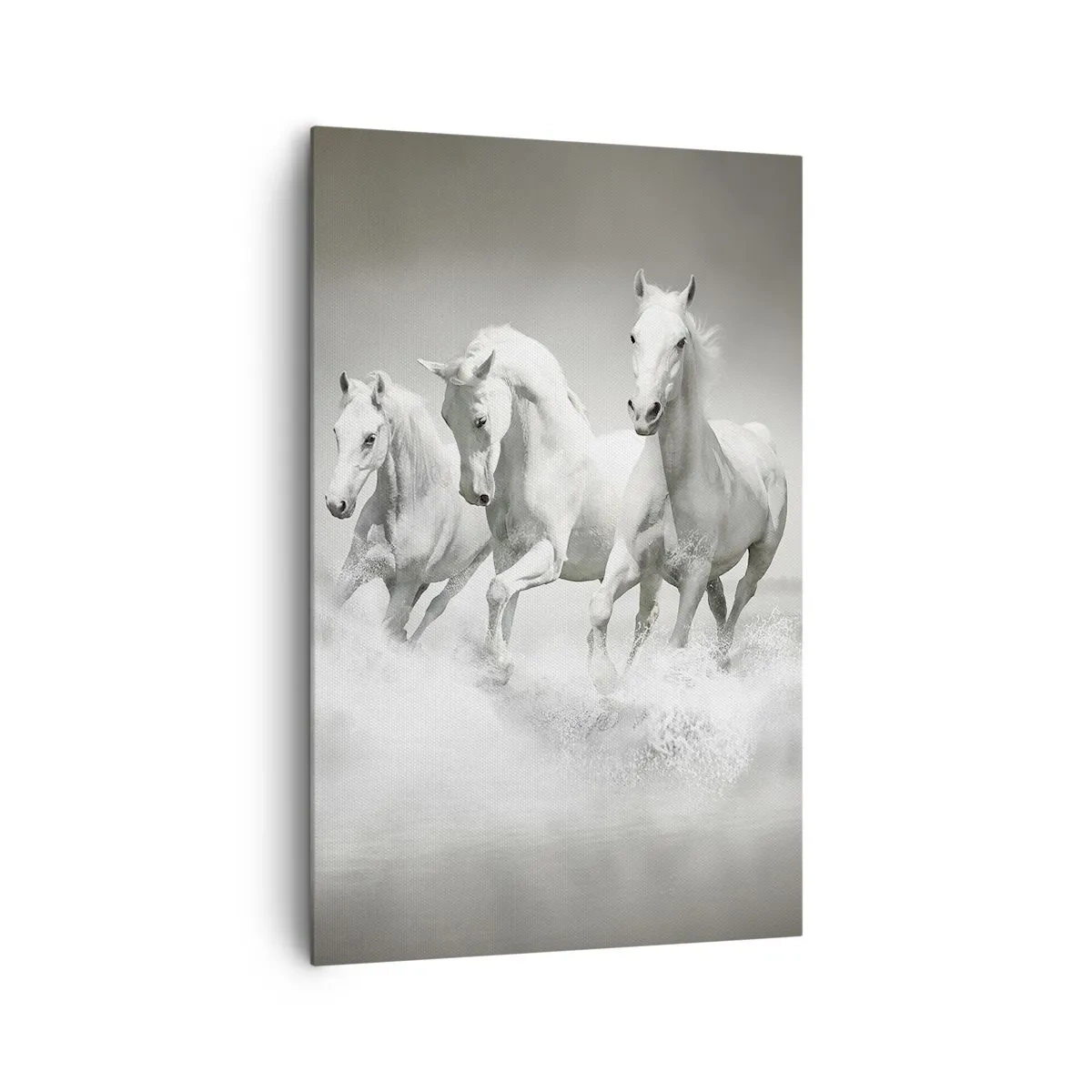 Impression sur toile - Image sur toile - Trois chevaux blancs galopant dans l'eau - 80x120cm - La folie blanche - Décoration murale moderne pour le salon et la chambre ARTTOR