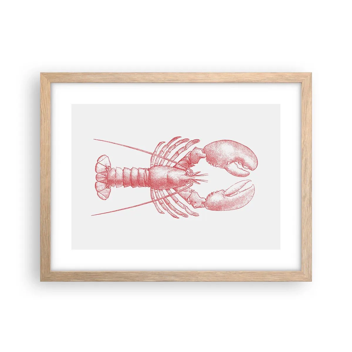 Affiche dans un chêne clair - Poster - Un homard digne d'Homère - 40x30 cm