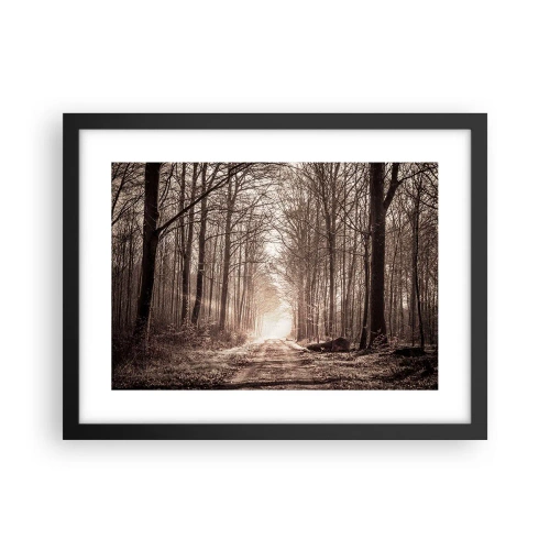 Affiche dans un cadre noir - Poster - Cathédrale de la forêt - 40x30 cm