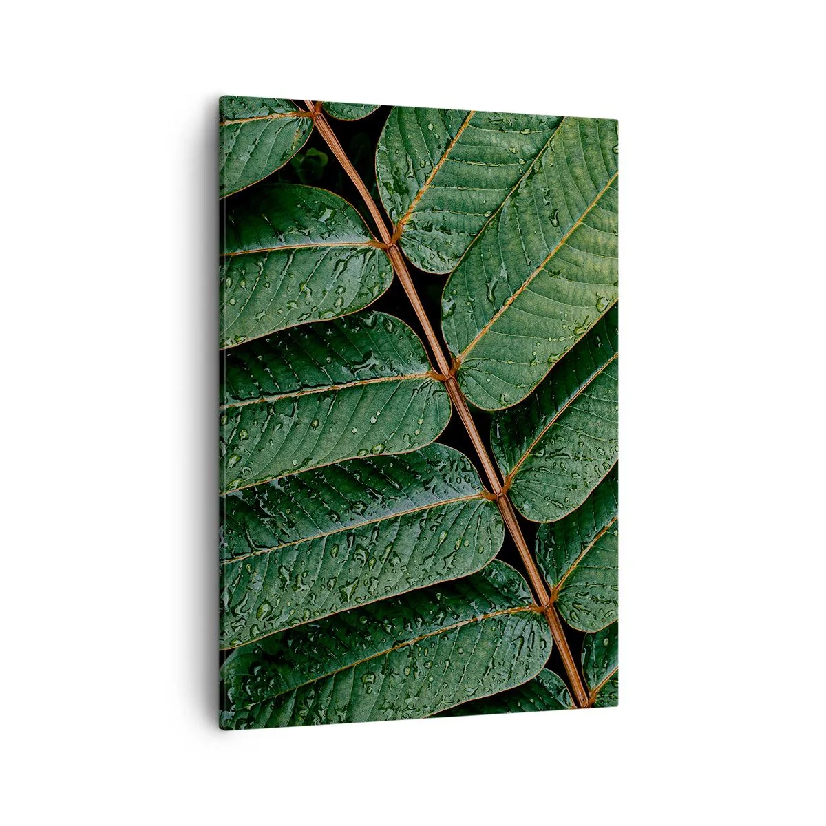 Impression sur toile - Image sur toile - Macro shot de feuilles vertes avec des gouttes de rosée - 50x70cm - Au rythme de la verdure - Décoration murale moderne pour le salon et la chambre ARTTOR