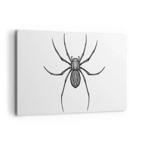 Impression sur toile - Image sur toile - Détail d'une araignée sur fond blanc dans un style dessin animé - 120x80cm - Une précision troublante - Décoration murale moderne pour le salon et la chambre ARTTOR