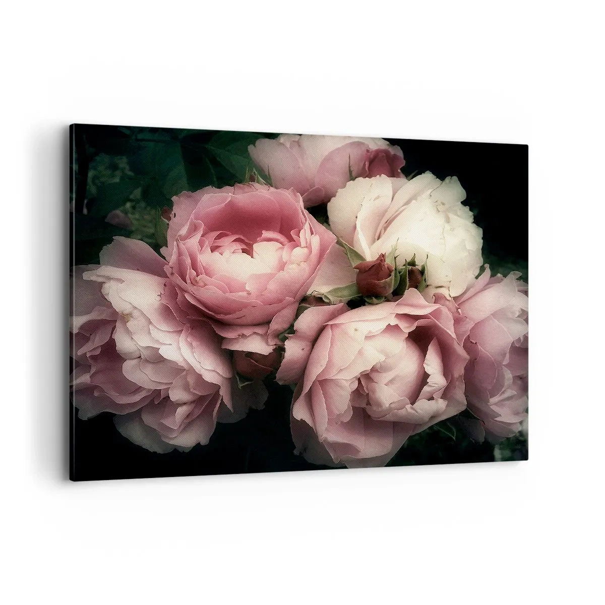 Impression sur toile - Image sur toile - Un bouquet de roses aux tons délicats de rose et de blanc - 100x70cm - Le charme de la belle époque - Décoration murale moderne pour le salon et la chambre ARTTOR