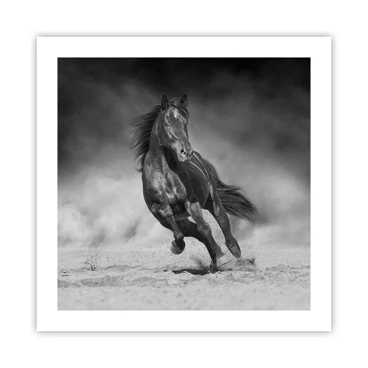 Affiche - Poster - Digne de l'émir lui-même - 50x50 cm