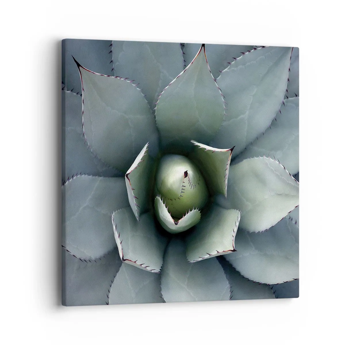 Impression sur toile - Image sur toile - Wabi et observe - 40x40 cm