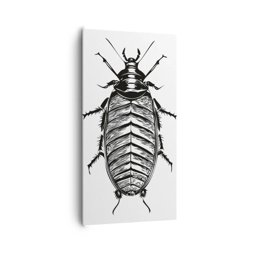 Impression sur toile - Image sur toile - Quel spécimen! - 65x120 cm