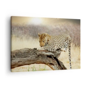 Impression sur toile - Image sur toile - Un léopard se reposant sur un tronc d'arbre dans la savane - 70x50cm - Je suis ma propre route - Décoration murale moderne pour le salon et la chambre ARTTOR
