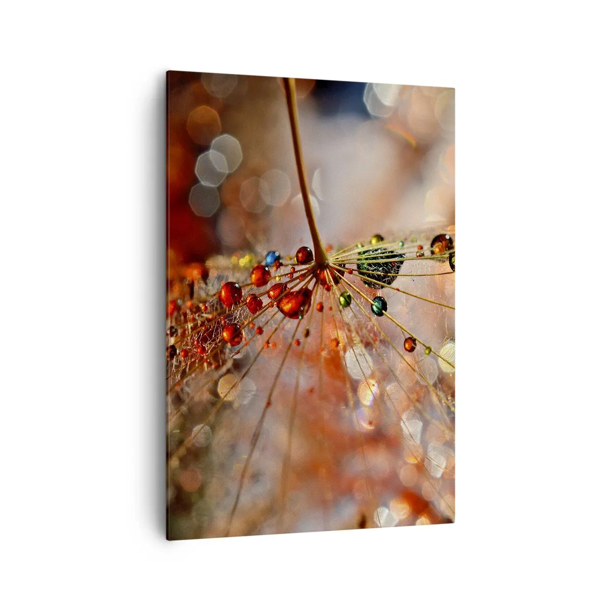 Impression sur toile - Image sur toile - Macrophotographie d'une goutte d'eau sur une plante délicate - 70x100cm - Enfilé sur un fil d'araignée - Décoration murale moderne pour le salon et la chambre ARTTOR