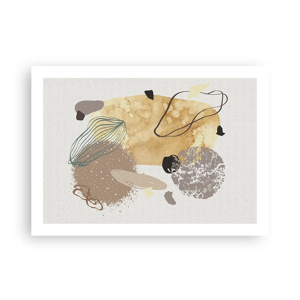 Affiche - Poster - Plumcologie appliquée - 70x50 cm