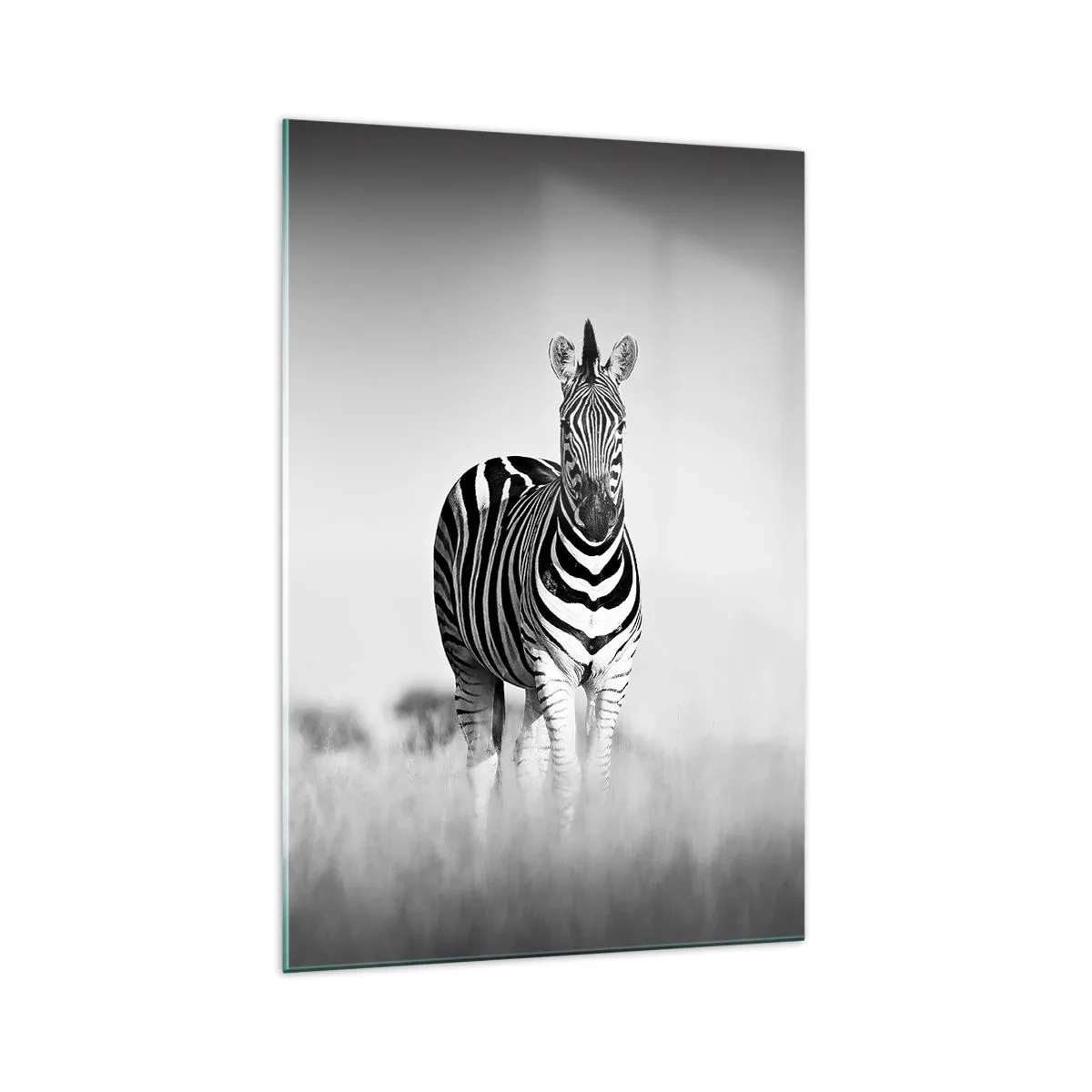Impression sur verre - Image sur verre - Deux zèbres dans la savane dans un style monochrome - 70x100cm - Le monde est bel et bien noir et blanc - Décoration murale moderne pour le salon et la chambre ARTTOR