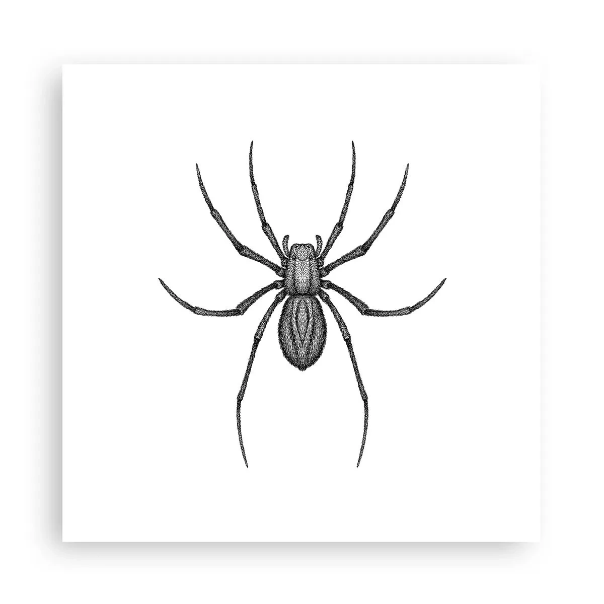 Affiche - Poster - Une précision troublante - 30x30 cm