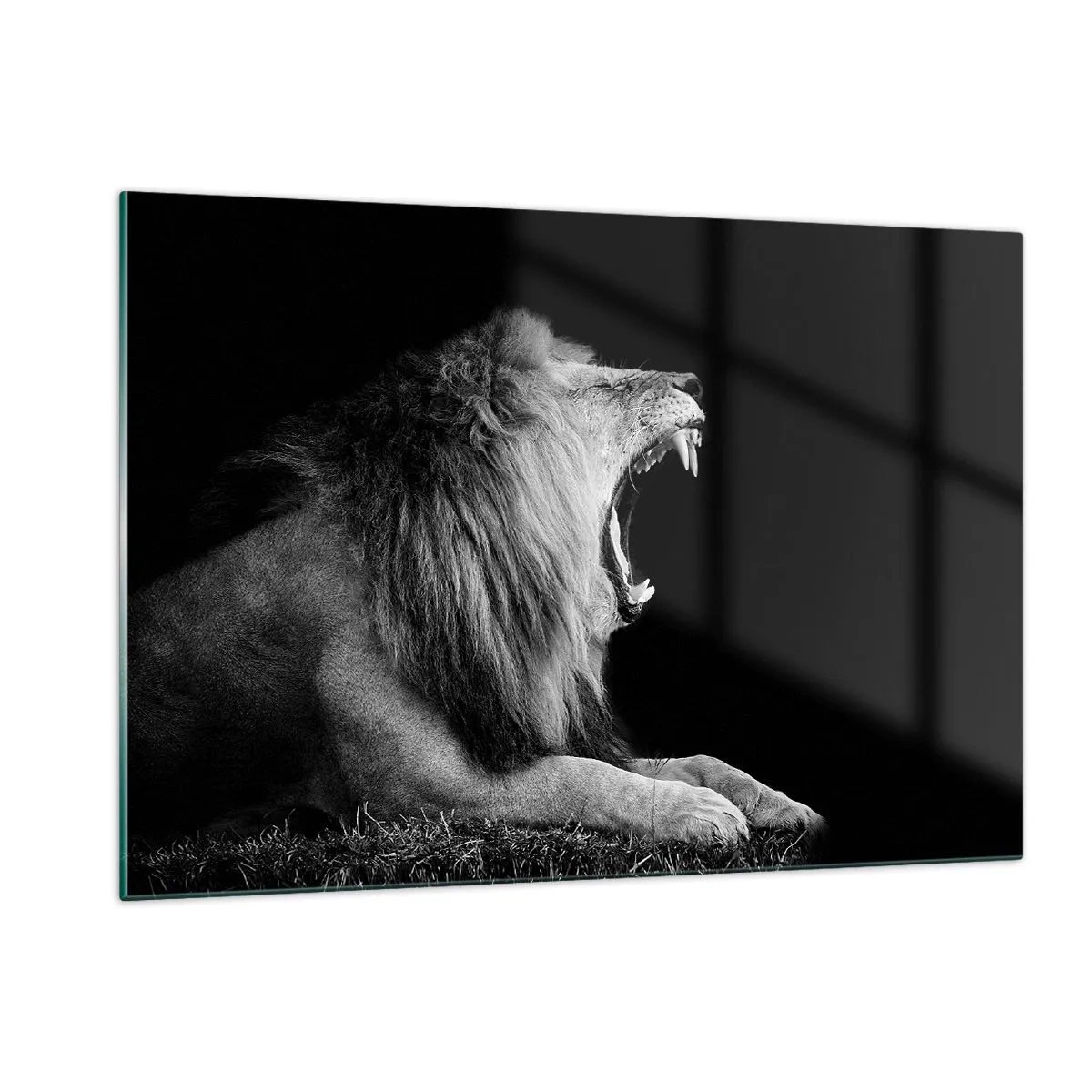 Impression sur verre - Image sur verre - Portrait noir et blanc d'un lion rugissant contre une ombre - 120x80cm - Sans aucun doute - Décoration murale moderne pour le salon et la chambre ARTTOR