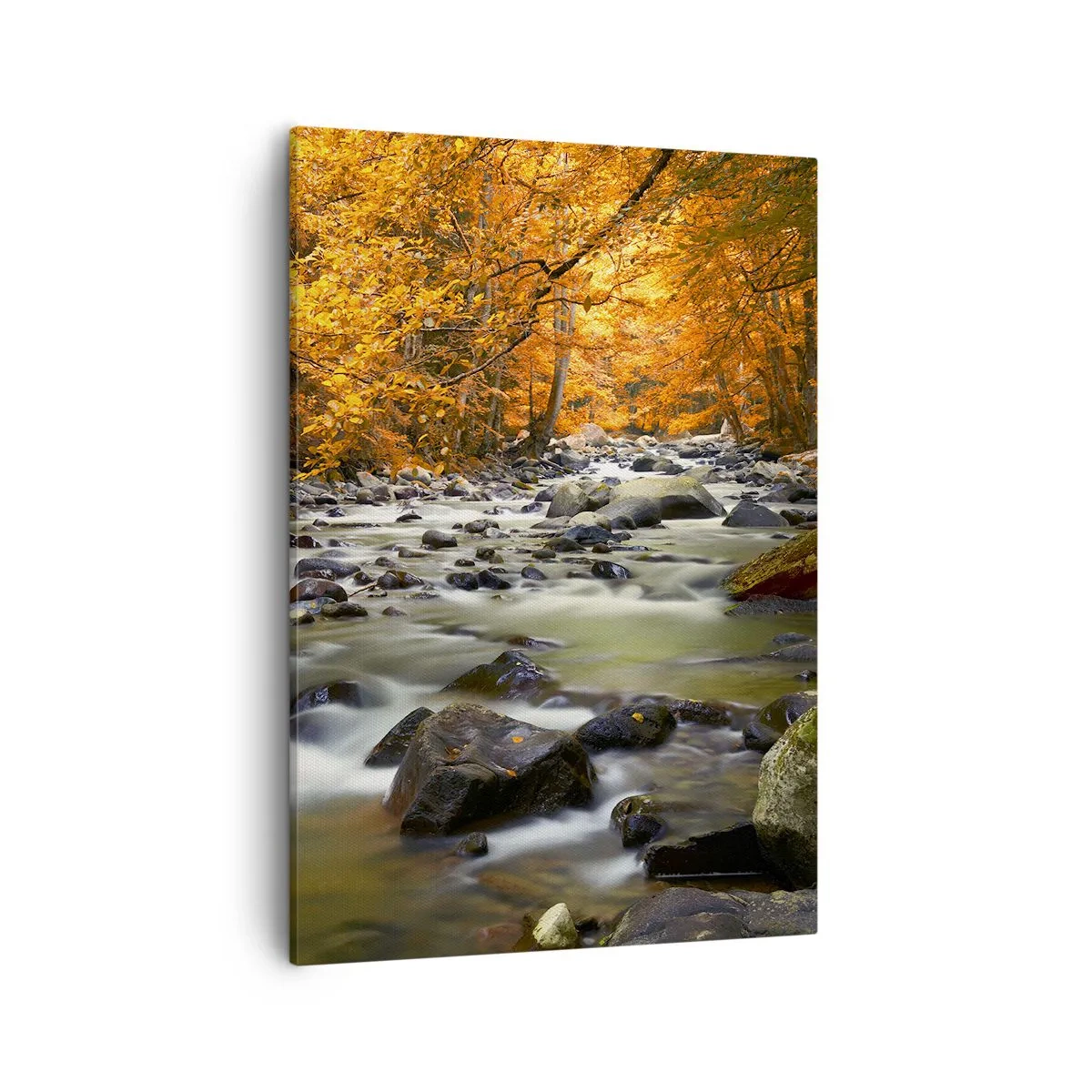 Impression sur toile - Image sur toile - Un ruisseau dans une forêt d'automne entouré de feuilles dorées - 50x70cm - Un ruisseau dans une forêt dorée - Décoration murale moderne pour le salon et la chambre ARTTOR