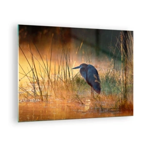 Impression sur verre - Image sur verre - Coucher de soleil sur un lac avec un héron - 70x50cm - Allez, laissez-moi en paix avec ces photos - Décoration murale moderne pour le salon et la chambre ARTTOR