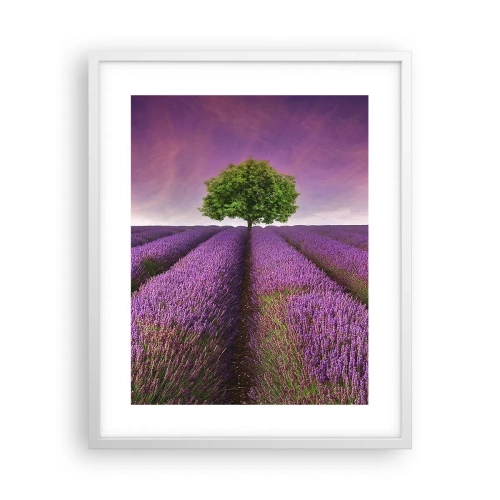 Affiche dans un cadre blanc - Poster - Dans un champs de lavande - 40x50 cm