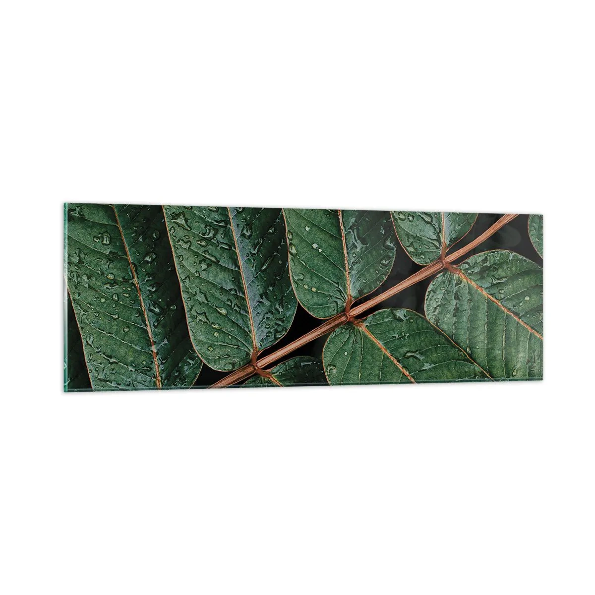 Impression sur verre - Image sur verre - Au rythme de la verdure - 90x30 cm