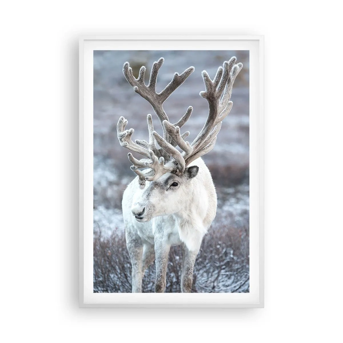 Affiche dans un cadre blanc - Poster - Portrait au soleil - 61x91 cm