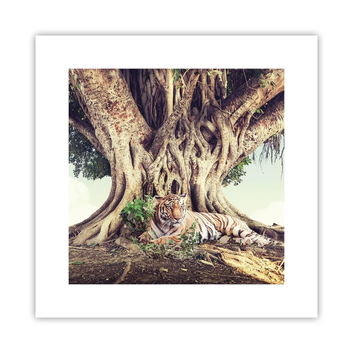 Affiche - Poster - Vue du Livre de la Genèse - 30x30 cm