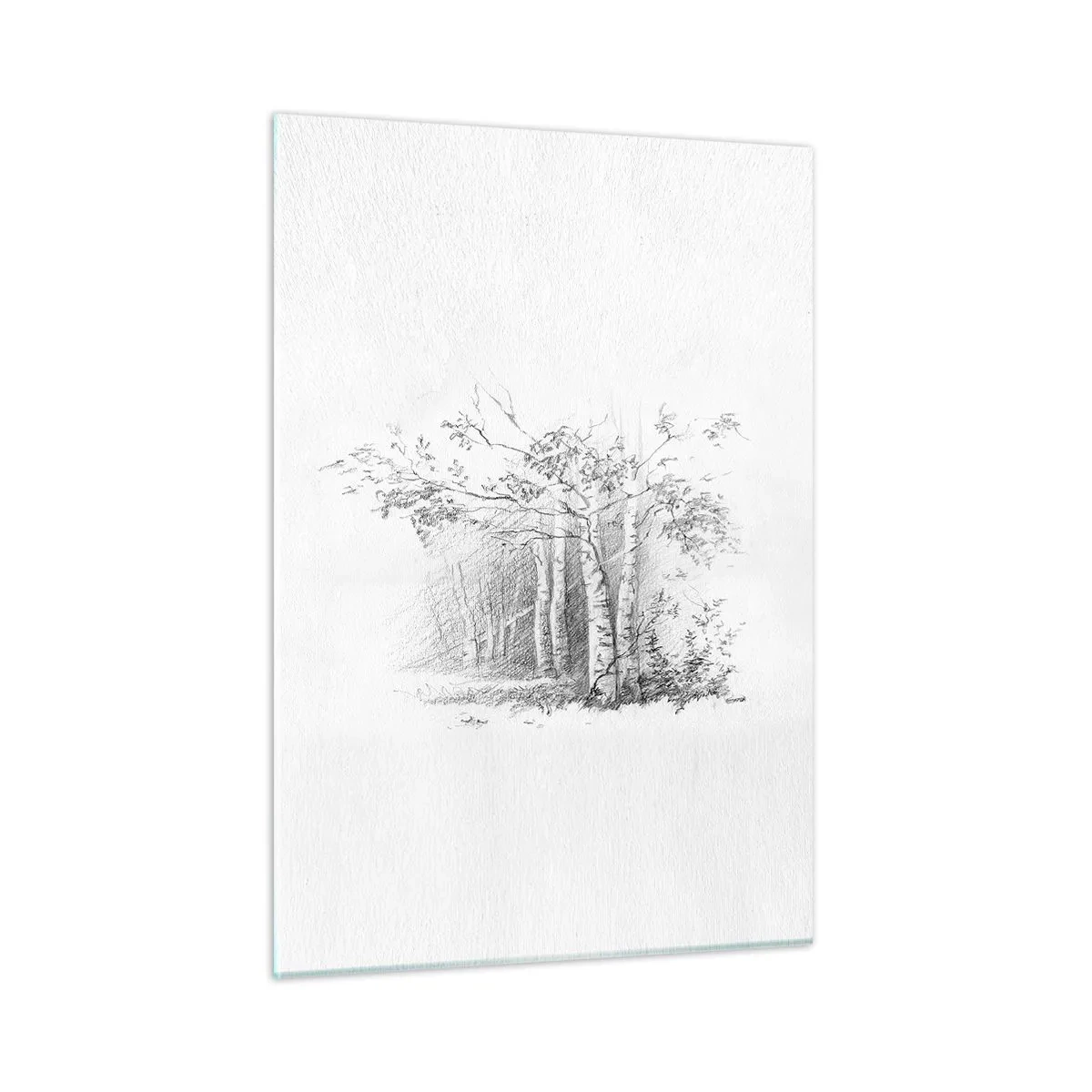 Impression sur verre - Image sur verre - Croquis d'une forêt de bouleaux aux tons monochromes - 50x70cm - Lumière d'une forêt de bouleaux - Décoration murale moderne pour le salon et la chambre ARTTOR