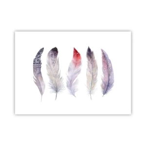 Affiche - Poster - Délicat comme un brouillard multicolore - 70x50 cm