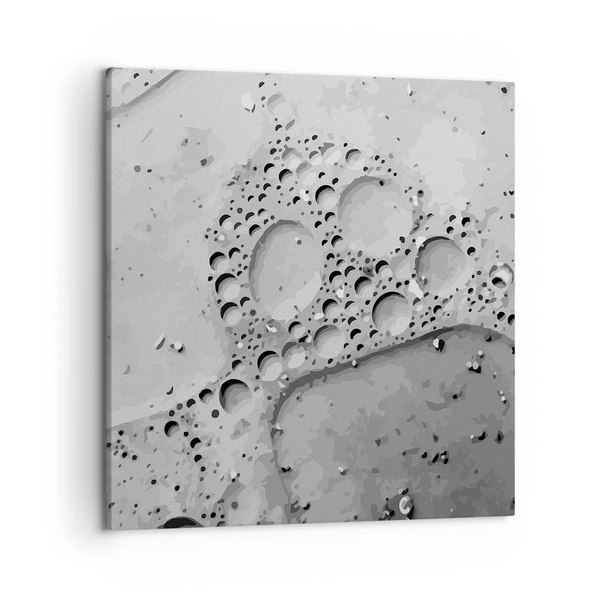 Impression sur toile - Image sur toile - Sentier de mousse - 50x50 cm