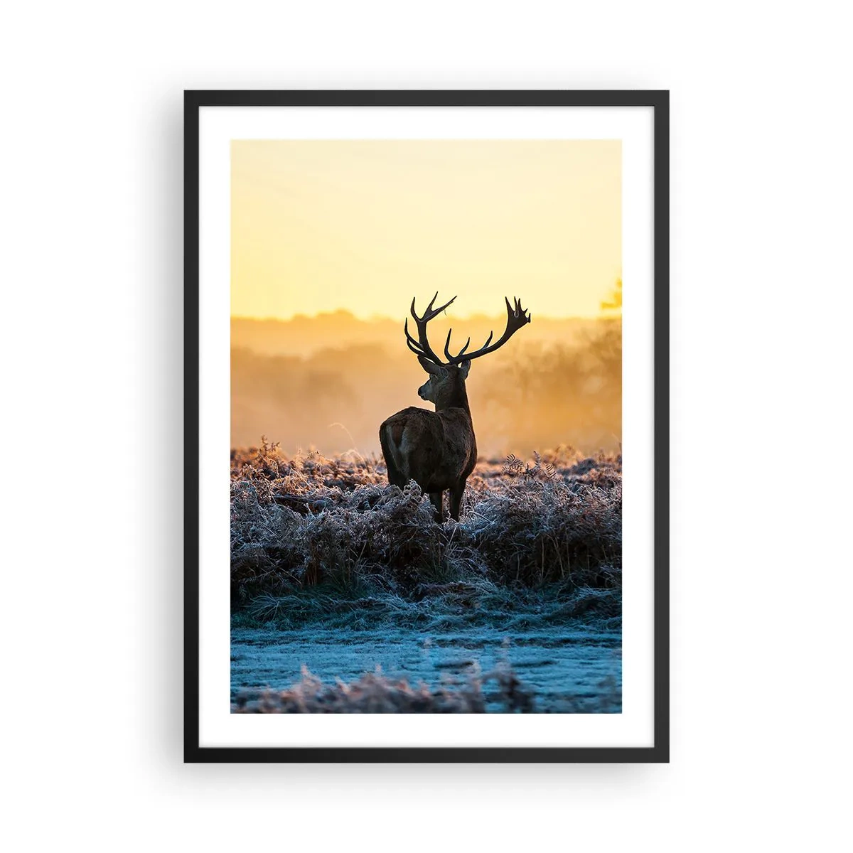 Affiche dans un cadre noir - Poster - Un cerf dans une clairière gelée au lever du soleil - 50x70cm - Couronné pour sa succession - Décoration murale moderne pour le salon et la chambre ARTTOR