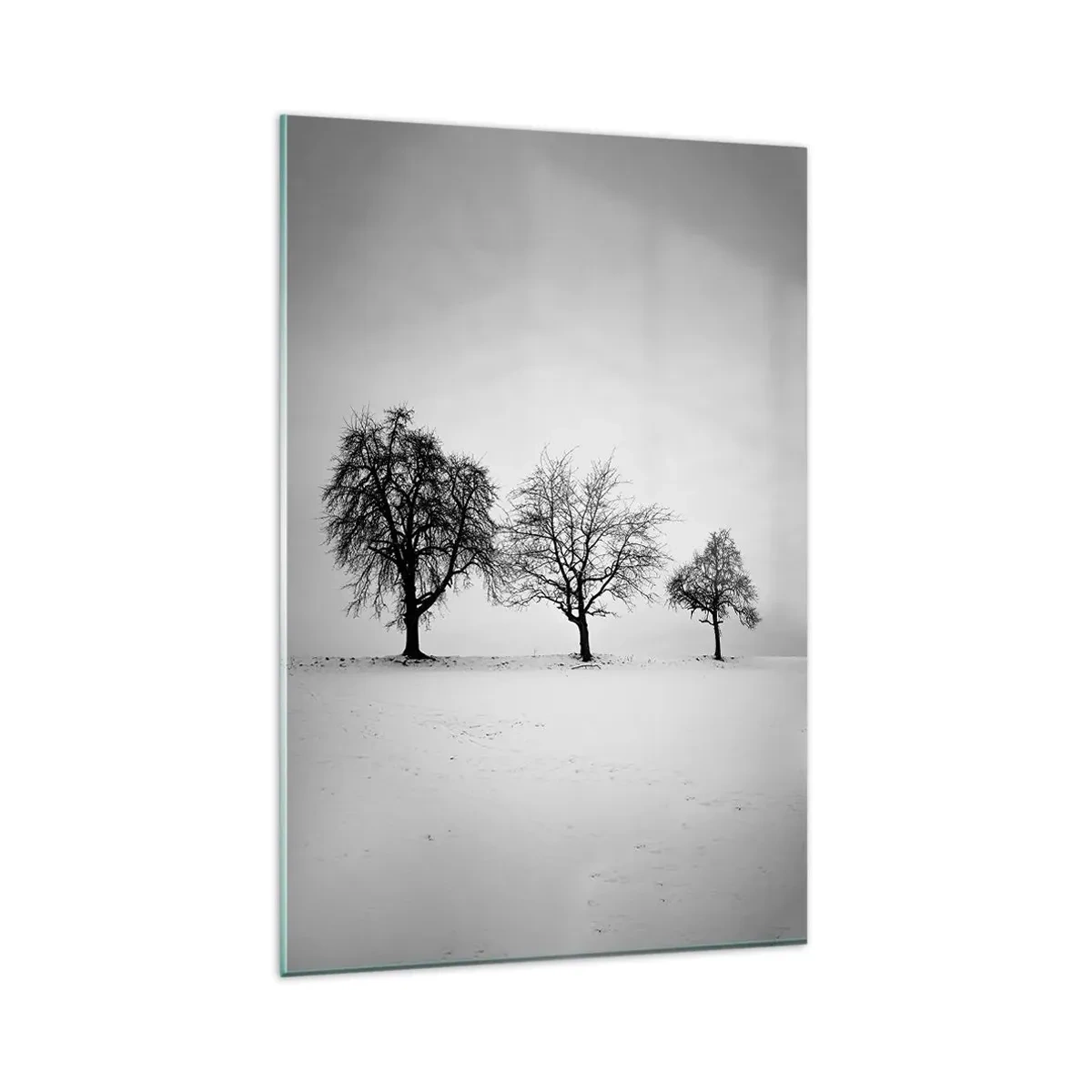 Impression sur verre - Image sur verre - Trois arbres dans un champ enneigé dans un style monochrome - 80x120cm - A quoi rêvent-ils? - Décoration murale moderne pour le salon et la chambre ARTTOR