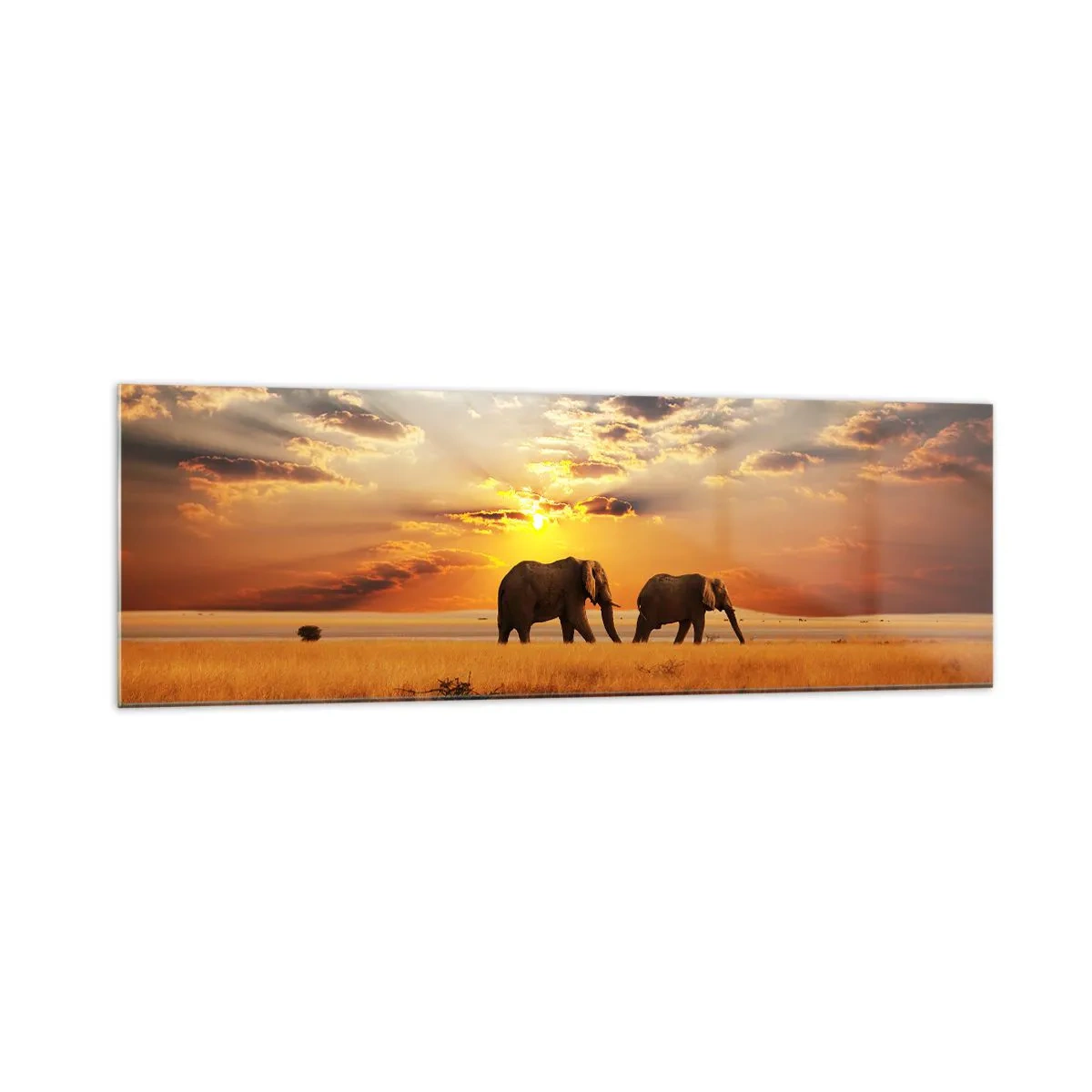 Impression sur verre - Image sur verre - Éléphants dans la savane au coucher du soleil - 160x50cm - Déambulation familliale - Décoration murale moderne pour le salon et la chambre ARTTOR