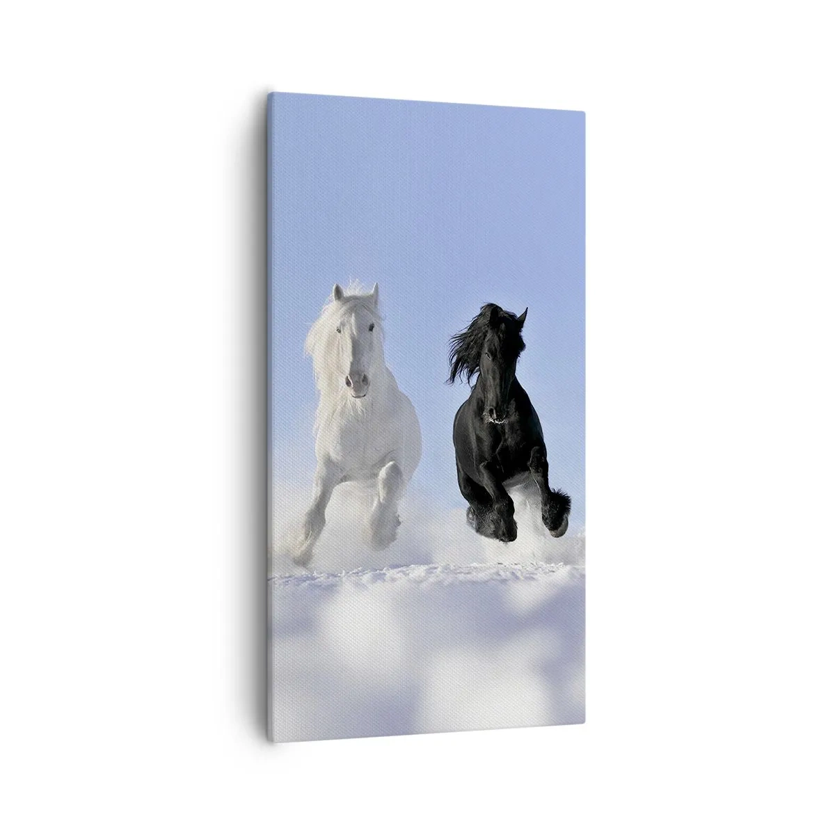 Impression sur toile - Image sur toile - Galop noir et blanc - 55x100 cm