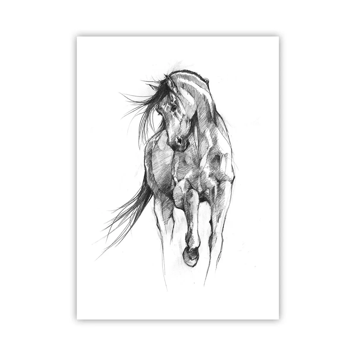 Affiche - Poster - Croquis d'un cheval dans une pose dynamique - 50x70cm - D'un trot gracieux - Décoration murale moderne pour le salon et la chambre ARTTOR