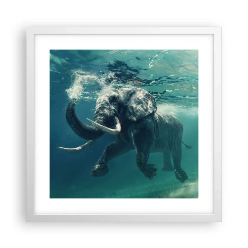 Affiche dans un cadre blanc - Poster - Tout le monde aime nager - 40x40 cm