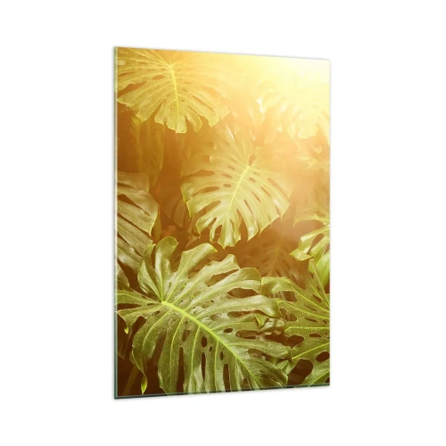 Impression sur verre - Image sur verre - Feuilles de Monstera au soleil sur fond naturel - 80x120cm - Se fondre dans la verdure - Décoration murale moderne pour le salon et la chambre ARTTOR