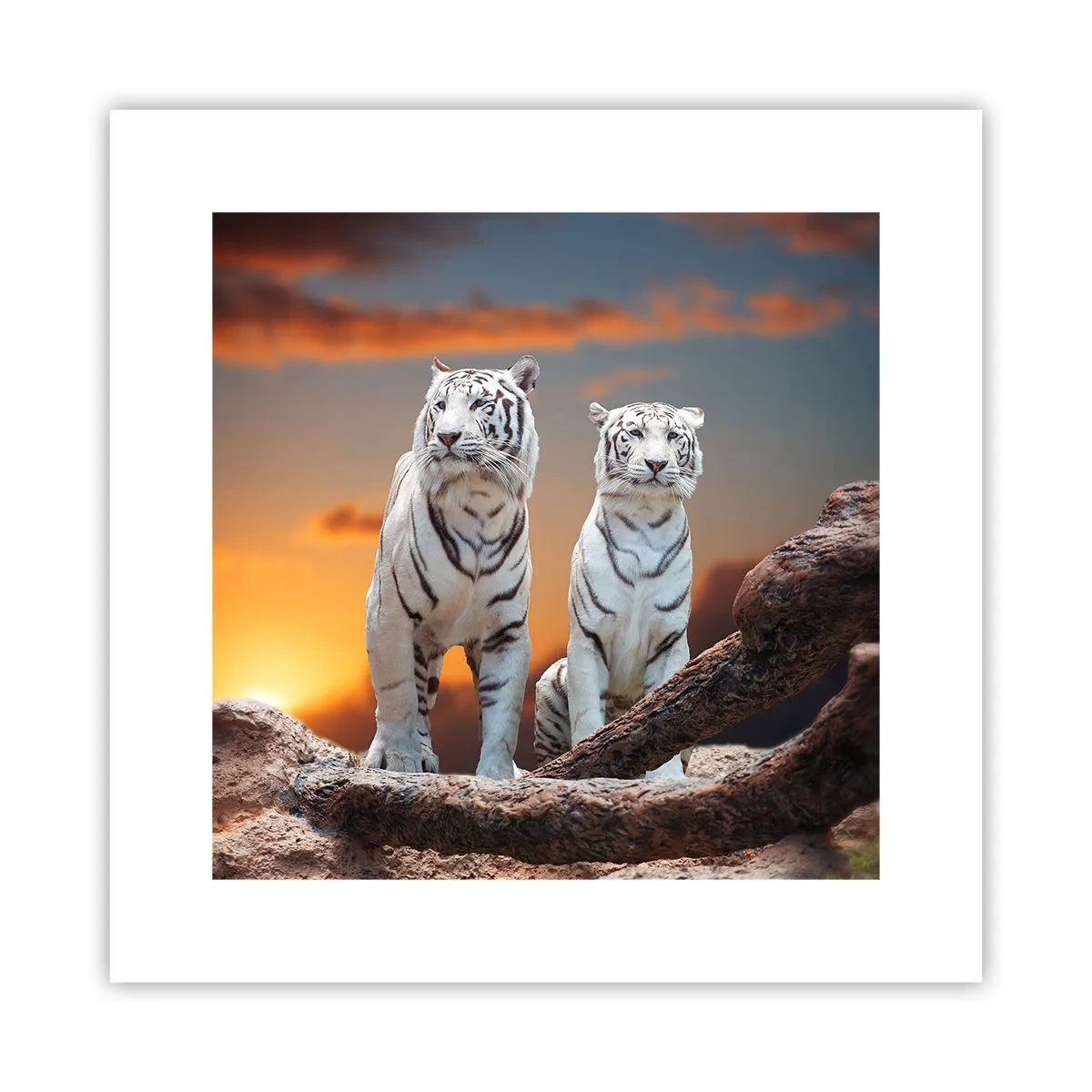 Affiche - Poster - Tout comme à Narnia - 30x30 cm