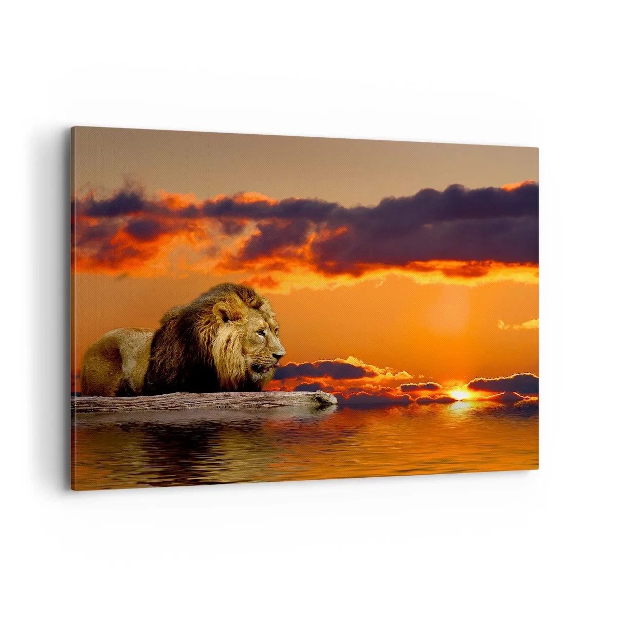 Impression sur toile - Image sur toile - Un lion se repose au bord de l'eau au coucher du soleil avec un ciel dramatique. - 100x70cm - Le roi de la nature - Décoration murale moderne pour le salon et la chambre ARTTOR