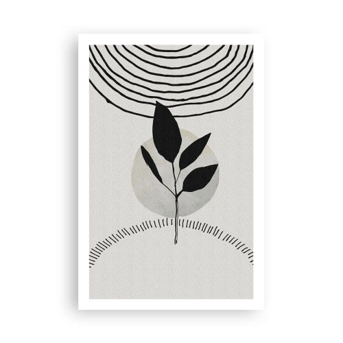Affiche - Poster - Composition : rituels de la nature - 61x91 cm