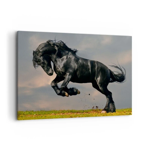 Impression sur toile - Image sur toile - Un cheval noir dans un saut dynamique contre le ciel - 100x70cm - Beau et libre - Décoration murale moderne pour le salon et la chambre ARTTOR