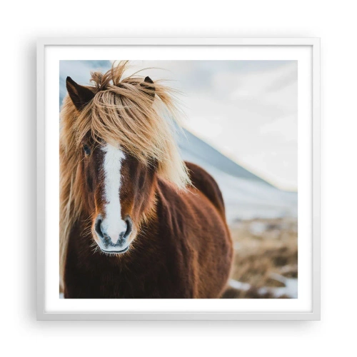 Affiche dans un cadre blanc - Poster - Sentez-vous la liberté ? - 60x60 cm