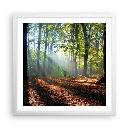 Affiche dans un cadre blanc - Poster - Ombres et lumières - 50x50 cm