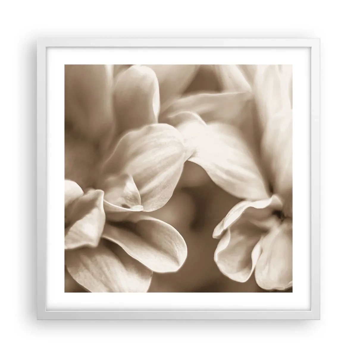 Affiche dans un cadre blanc - Poster - Doux comme un sourire - 50x50 cm