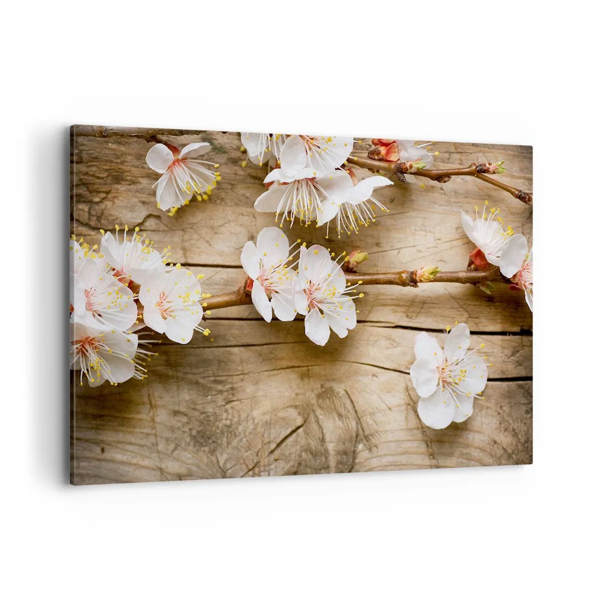 Impression sur toile - Image sur toile - Branches de cerisiers en fleurs sur fond de planche de bois - 120x80cm - Et c'est devenu le printemps - Décoration murale moderne pour le salon et la chambre ARTTOR