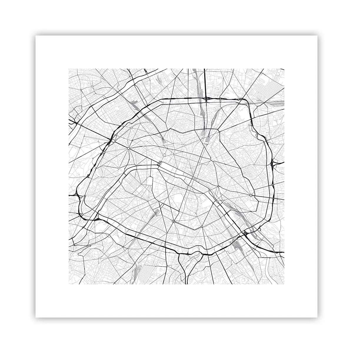 Affiche - Poster - Fleur de Paris - 30x30 cm