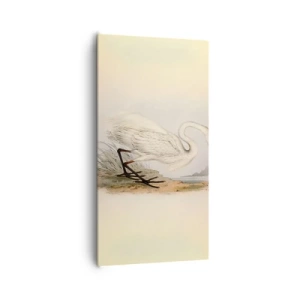 Impression sur toile - Image sur toile - Dame sur les joncs - 65x120 cm