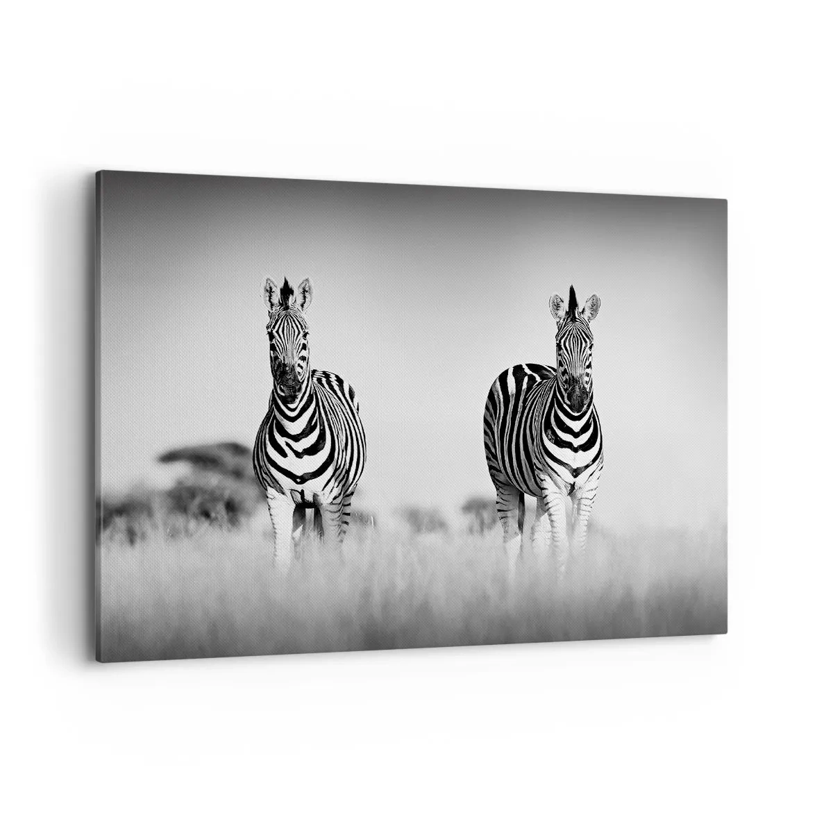 Impression sur toile - Image sur toile - Deux zèbres dans la savane dans un style monochrome - 120x80cm - Le monde est bel et bien noir et blanc - Décoration murale moderne pour le salon et la chambre ARTTOR