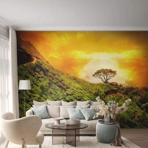 Papier Peint Autocollant Deluxe Sticker - Un chemin sinueux, une pente verte - Paysage, Plantation de thé, Inde - 100x70 cm