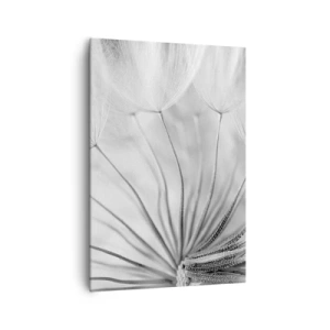 Impression sur toile - Image sur toile - Pissenlits délicats dans des tons noir et blanc - 70x100cm - Aigrette avant son envol - Décoration murale moderne pour le salon et la chambre ARTTOR